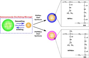 Self-oscillating core/shell microgels: effect of a crosslinked nanoshell on autonomous oscillation of the core