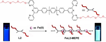 Fluorescent Fe(II) metallo-supramolecular polymers: metal-ion-directed self-assembly of new bisterpyridines containing triethylene glycol chains