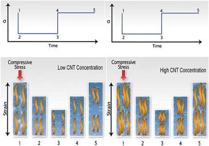 Resistive–conductive transitions in the time-dependent piezoresponse of PVDF-MWCNT nanocomposites