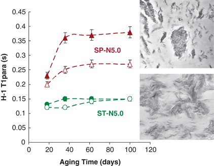 A high-resolution solid-state NMR study on starch–clay nanocomposites and the effect of aging on clay dispersion