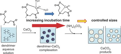 A carbonate controlled-addition method for size-controlled calcium carbonate spheres by carboxylic acid-terminated poly(amidoamine) dendrimers