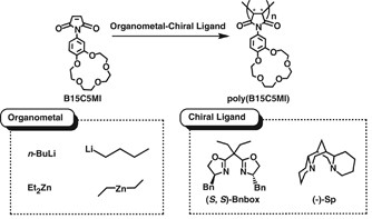 Asymmetric anionic polymerization of maleimide bearing an <i>N</i>-4′-benzo 15-crown-5 ether with an organometal/chiral ligand complex