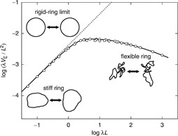 A Monte Carlo study of the second virial coefficient of semiflexible ring polymers