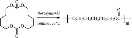 Highly efficient enzymatic catalysis for cyclocarbonate polymerization