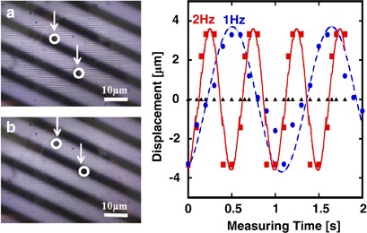 Preparation methods of alginate micro-hydrogel particles and evaluation of their electrophoresis behavior for possible electronic paper ink application