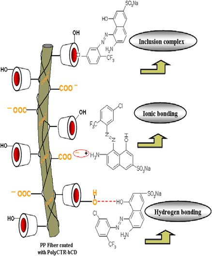 Improved dyeability of polypropylene fabrics finished with β-cyclodextrin–citric acid polymer