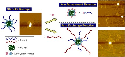 Arm-replaceable star-like nanogels: arm detachment and arm exchange reactions by dynamic covalent exchanges of alkoxyamine units