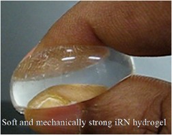 Recent advances in hydrogels in terms of fast stimuli responsiveness and superior mechanical performance