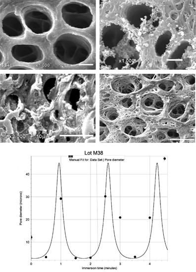 Nonlinear changes in pore size induced by temperature in the design of smart membranes