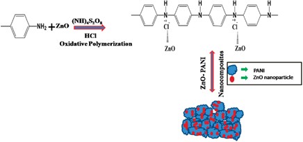 Evaluating the chemio-physio properties of novel zinc oxide–polyaniline nanocomposite polymer films