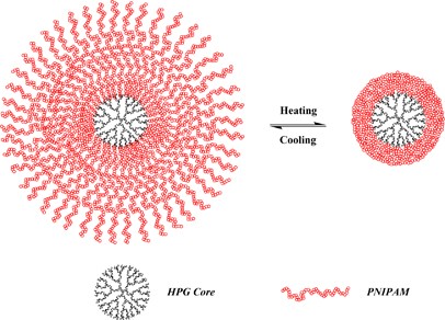 Synthesis of thermoresponsive unimolecular polymeric micelles with a hydrophilic hyperbranched poly(glycidol) core