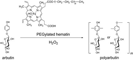 Synthesis of polyarbutin by oxidative polymerization using PEGylated hematin as a biomimetic catalyst