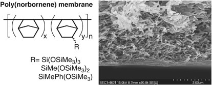 Addition-type poly(norbornene)s with siloxane substituents: synthesis, properties and nanoporous membrane