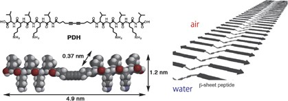β-Sheet peptide-assisted polymerization of diacetylene at the air–water interface and thermochromic property