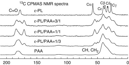 Structural analysis of microbial poly(ɛ-<span class="small-caps u-small-caps">L</span>-lysine)/poly(acrylic acid) complex by FT-IR, DSC, and solid-state <sup>13</sup>C and <sup>15</sup>N NMR