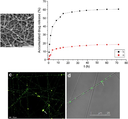 Electrospun composite nanofibers containing nanoparticles for the programmable release of dual drugs