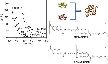 Equilibrium melting temperature and crystallization kinetics of α- and β′-PBN crystal forms