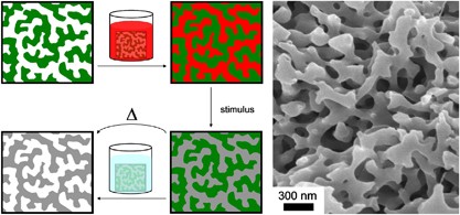 Nanocasting nanoporous inorganic and organic materials from polymeric bicontinuous microemulsion templates