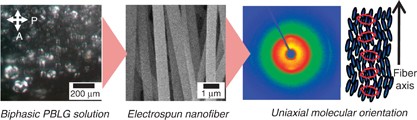 Preparation of poly(γ-benzyl-<span class="small-caps u-small-caps">L</span>-glutamate) nanofibers by electrospinning from isotropic and biphasic liquid crystal solutions