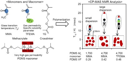 The systematic study of the microstructure of crosslinked copolymers from siloxane macromonomers and methacrylates by changes in composition and components