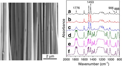 Molecular composition distribution of polycarbonate/polystyrene blends in cylindrical nanopores