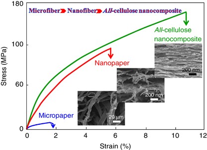<i>All-</i>cellulose composite and nanocomposite made from partially dissolved micro- and nanofibers of canola straw