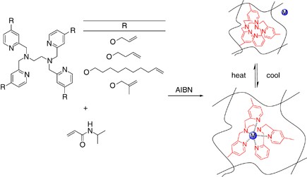 Thermoresponsive extraction of cadmium(II) ions by poly(TPEN–NIPA) gels. Effect of chain length and branched spacer structure on gel formation and extraction behavior