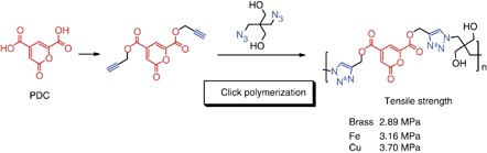 Click synthesis and adhesive properties of novel biomass-based polymers from lignin-derived stable metabolic intermediate