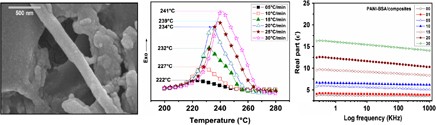 Curing kinetics, thermomechanical and microwave behaviors of PANI-doped BSA/epoxy resin composites