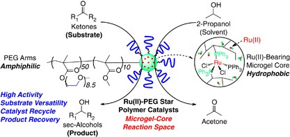 Transfer hydrogenation of ketones catalyzed by PEG-armed ruthenium-microgel star polymers: microgel-core reaction space for active, versatile and recyclable catalysis