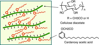 Hydrophobic, mechanical and thermal characteristics of thermoplastic cellulose diacetate bonded with cardanol from cashew nutshell