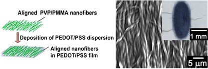 Directional electromechanical properties of PEDOT/PSS films containing aligned electrospun nanofibers