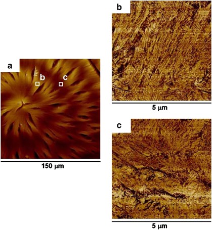 Lamellar orientation and interlamellar cracks in co-crystallized poly(ethylene oxide)/poly(<span class="small-caps u-small-caps">L</span>-lactic acid) blend