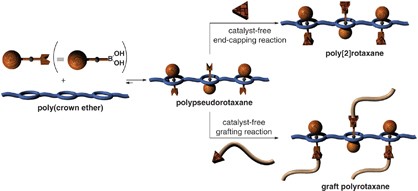 Polymer architectures assisted by dynamic covalent bonds: synthesis and properties of boronate-functionalized polyrotaxane and graft polyrotaxane