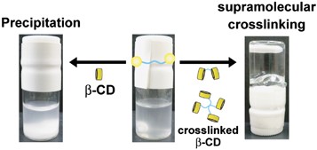 Modulation of reversible self-assembling of dumbbell-shaped poly(ethylene glycol)s and β-cyclodextrins: precipitation and heat-induced supramolecular crosslinking