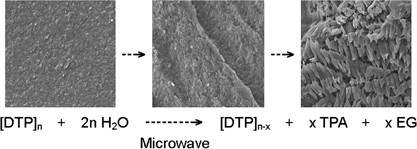 Kinetics of the hydrolytic depolymerization of poly(ethylene terephthalate) under microwave irradiation
