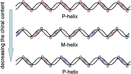 Double screw-sense inversions of helical chiral-achiral random copolymers of fluorene derivatives in phase separating solutions