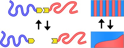 Creation and control of new morphologies via supramacromolecular self-assembly