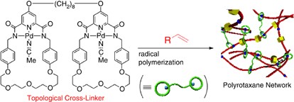 Synthesis and properties of a polyrotaxane network prepared from a Pd-templated bis-macrocycle as a topological cross-linker