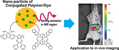 Near-infrared fluorescent nanoparticle of low-bandgap π-conjugated polymer for <i>in vivo</i> molecular imaging