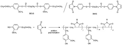 High-performance bio-based bismaleimide resins using succinic acid and eugenol