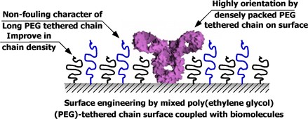 Construction of a densely poly(ethylene glycol)-chain-tethered surface and its performance