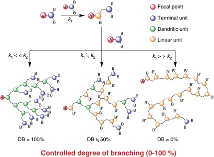 Synthesis of hyperbranched polymers with controlled degree of branching