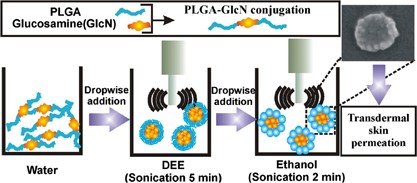 Self-assembled nanoparticles of PLGA-conjugated glucosamine as a sustained transdermal drug delivery vehicle