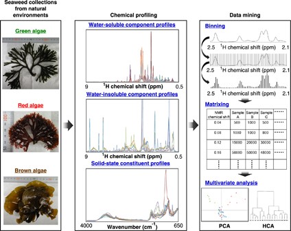 Chemical profiling of complex biochemical mixtures from various seaweeds