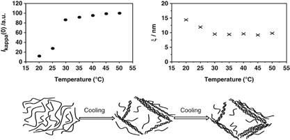 Estimation of the hydrodynamic screening length in κ-carrageenan solutions using NMR diffusion measurements