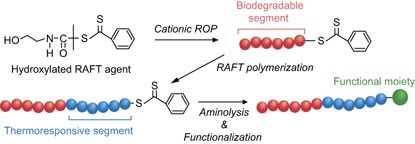 Synthesis of terminal-functionalized thermoresponsive diblock copolymers using biodegradable macro-RAFT agents