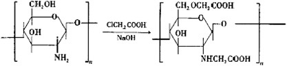 The effects of carboxymethyl chitosan on the regulation of the proliferation, differentiation and cytokine expression of peripheral blood mononuclear cells