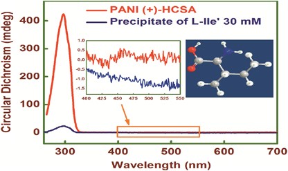 Investigation of the chiroptical behavior of optically active polyaniline synthesized from naturally occurring amino acids