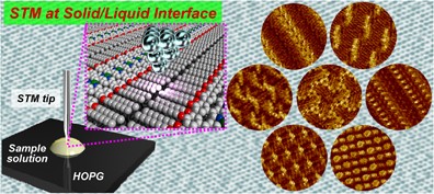 Formation of 2D structures and their transformation by external stimuli: a scanning tunneling microscopy study